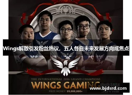 Wings解散引发粉丝热议，五人各自未来发展方向成焦点